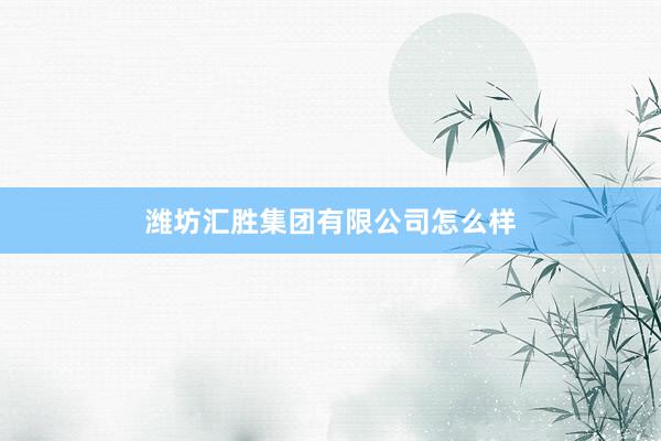 潍坊汇胜集团有限公司怎么样
